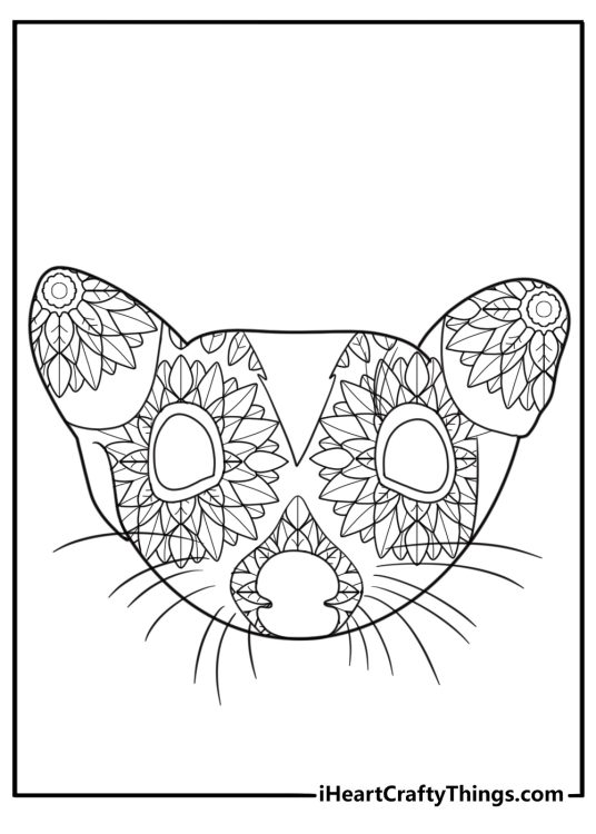 Mandala opossum face with floral patterns artistic coloring sheet