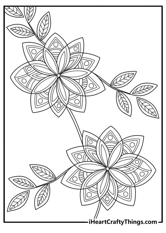 Mandala poinsettia design with repeating petals for adults