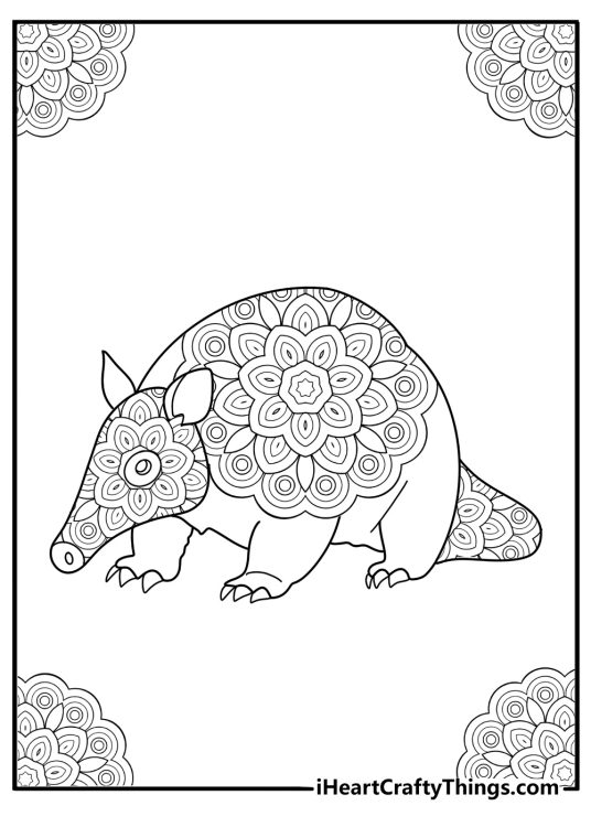 Mandala style armadillo design coloring page for adults