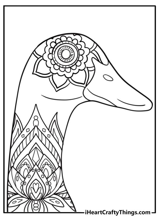 Mandala style goose head with feather details coloring page for adults