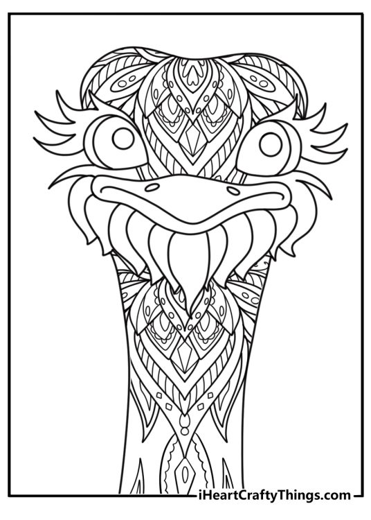 Mandala style ostrich head with feather details adult coloring page