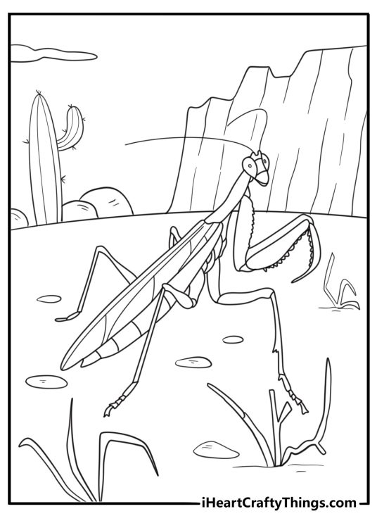 Mantis in desert with dry plants coloring sheet