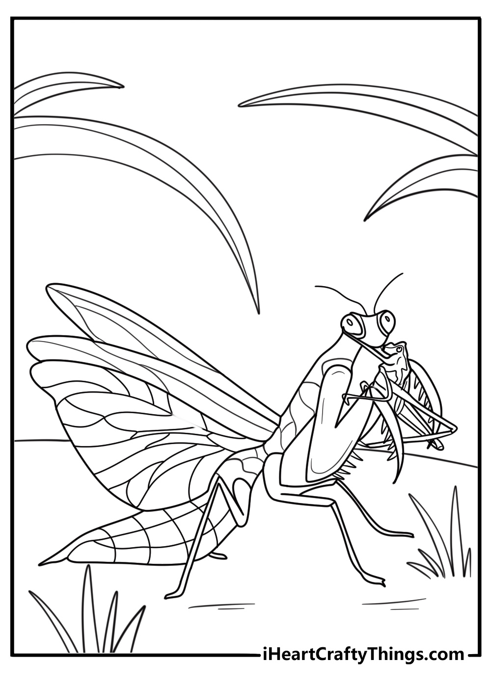 30 Free Praying Mantis Coloring Pages For Kids