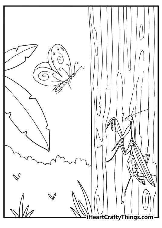 Mantis looking at a butterfly fun coloring page