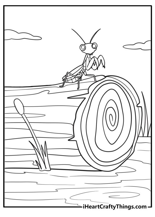 Mantis on a log near a pond peaceful coloring sheet