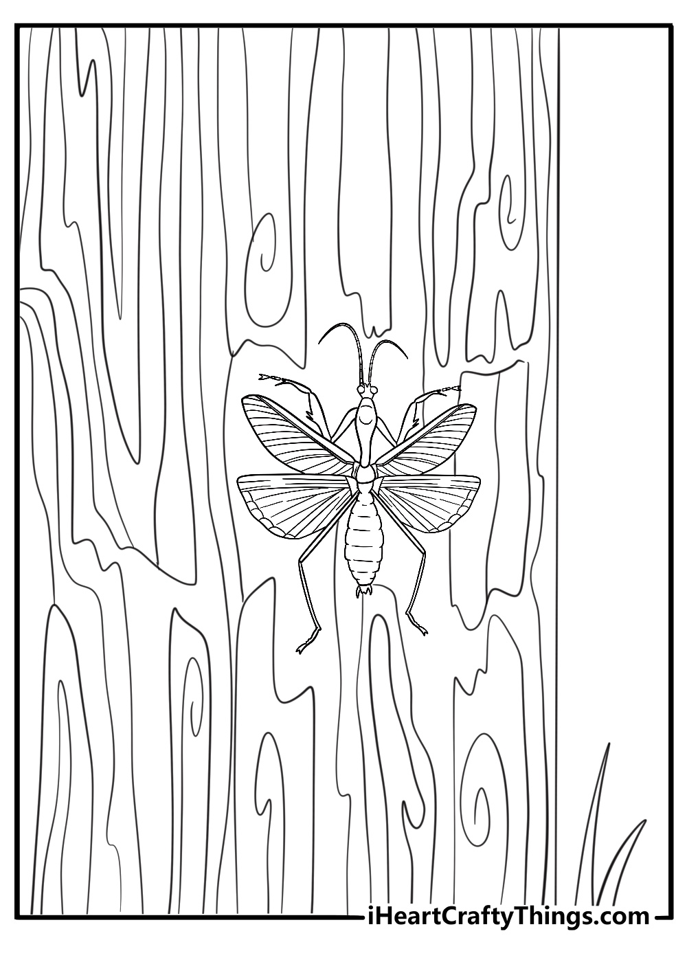 mantis on a tree bark vertical coloring page