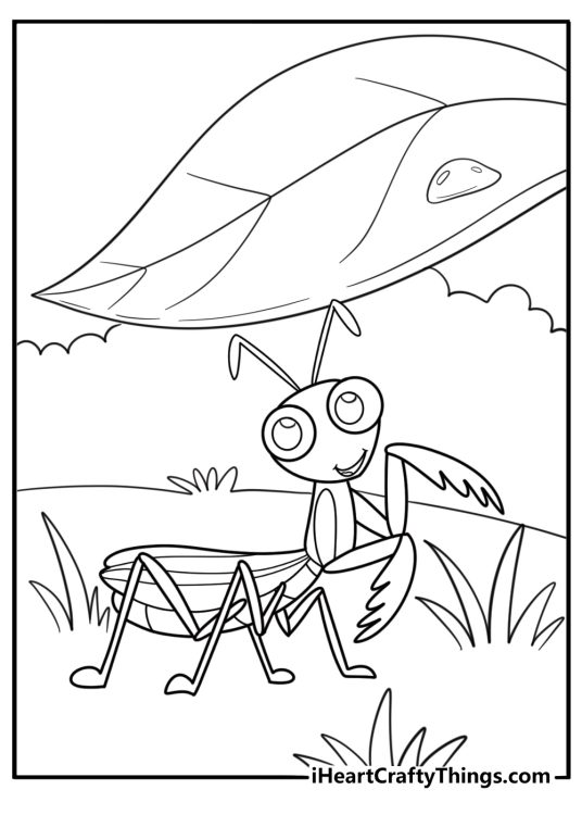 Mantis resting in the shade under tall leaves coloring sheet