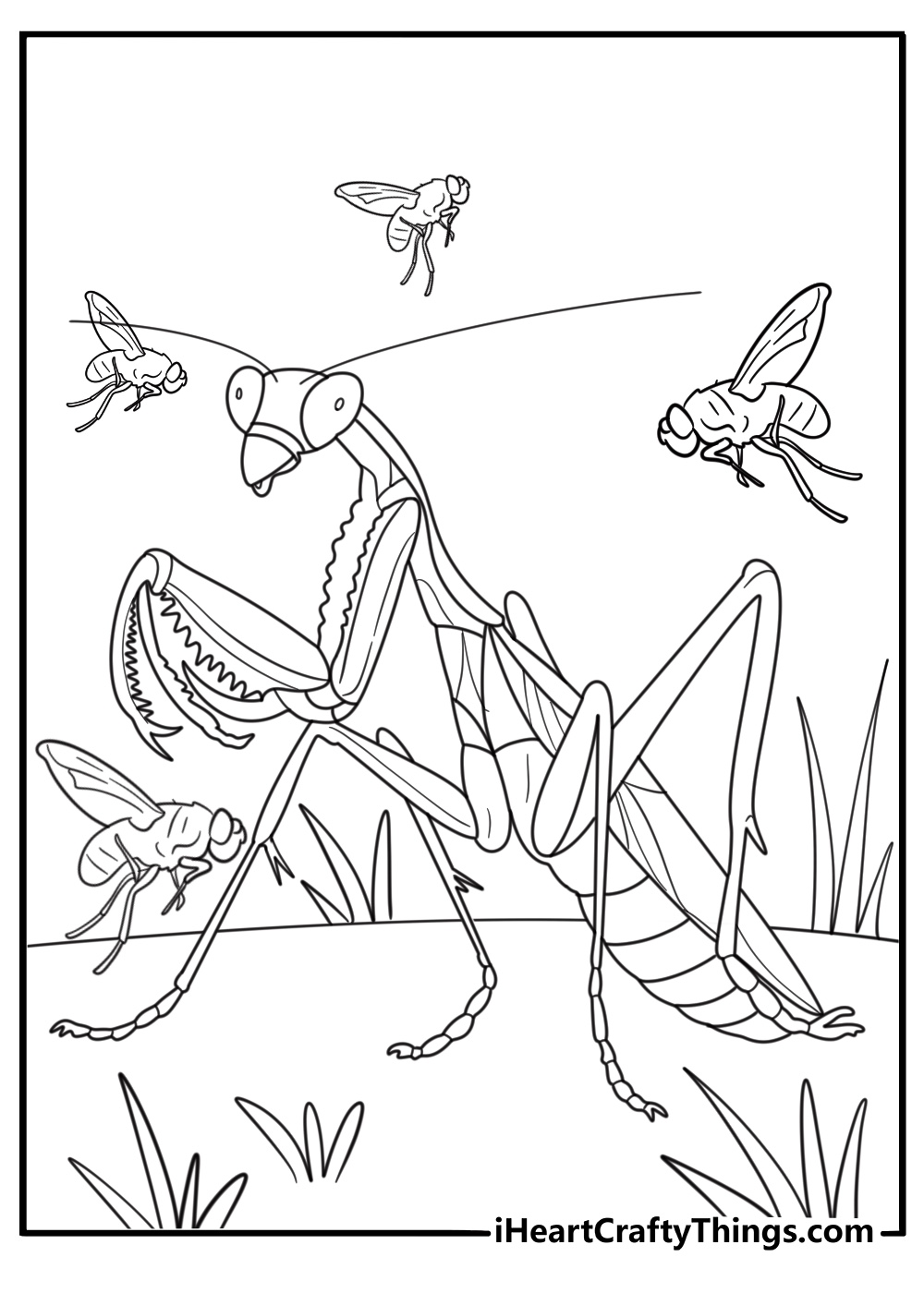 mantis surrounded by small insects nature themed coloring sheet