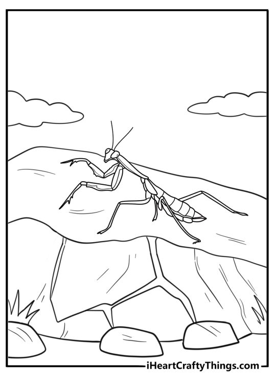 Mantis walking on a rock cartoon style coloring sheet