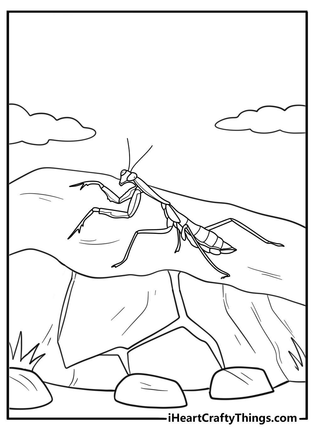 mantis walking on a rock cartoon style coloring sheet