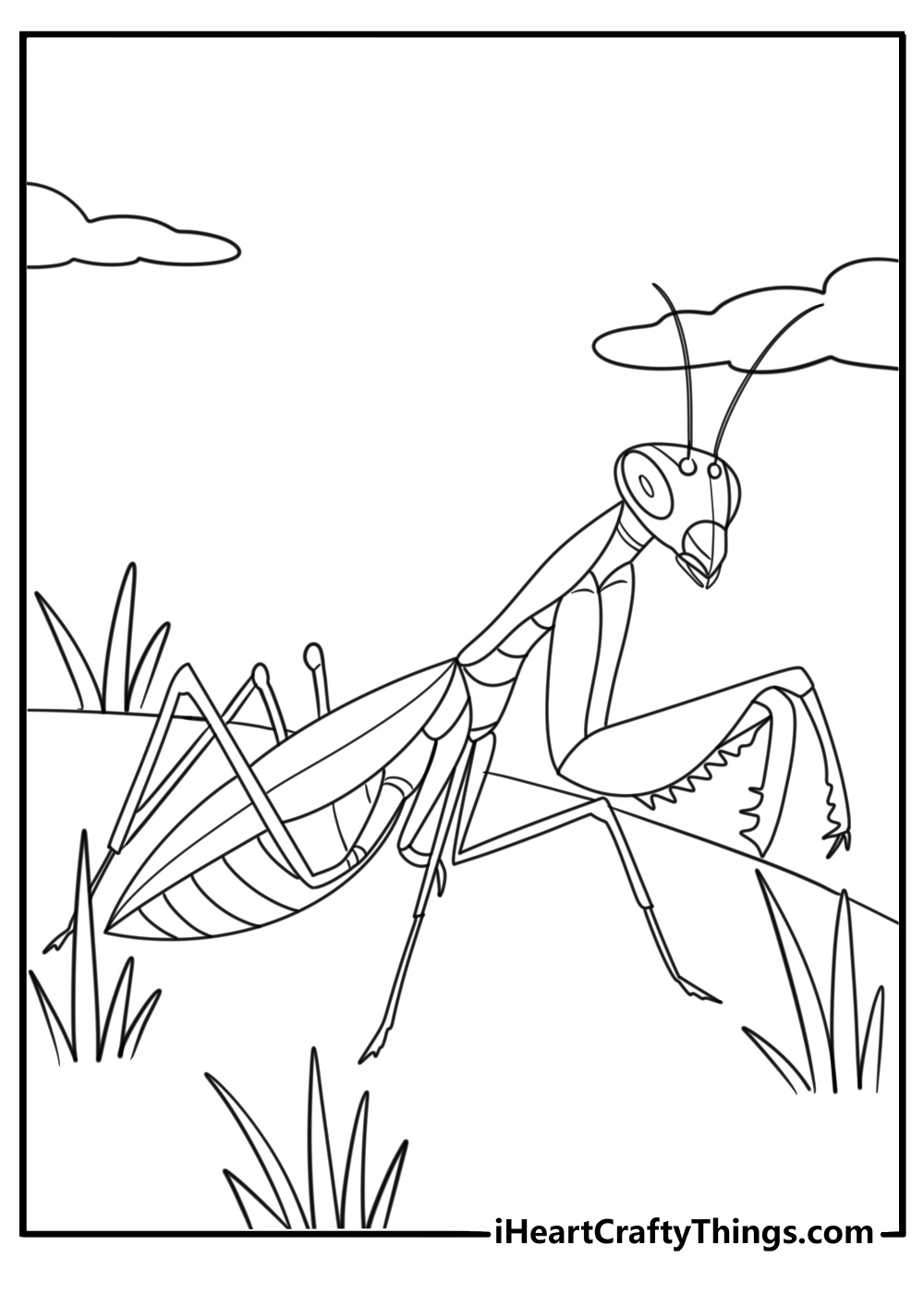 mantis with long front legs extended coloring sheet