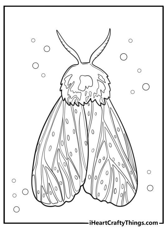 20 Moth Coloring Pages