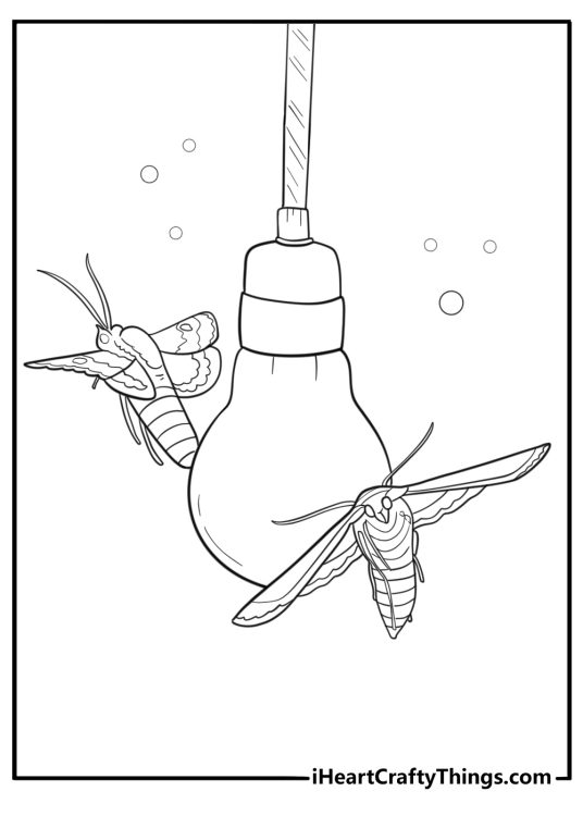 Moth flying near a light source cartoon coloring page