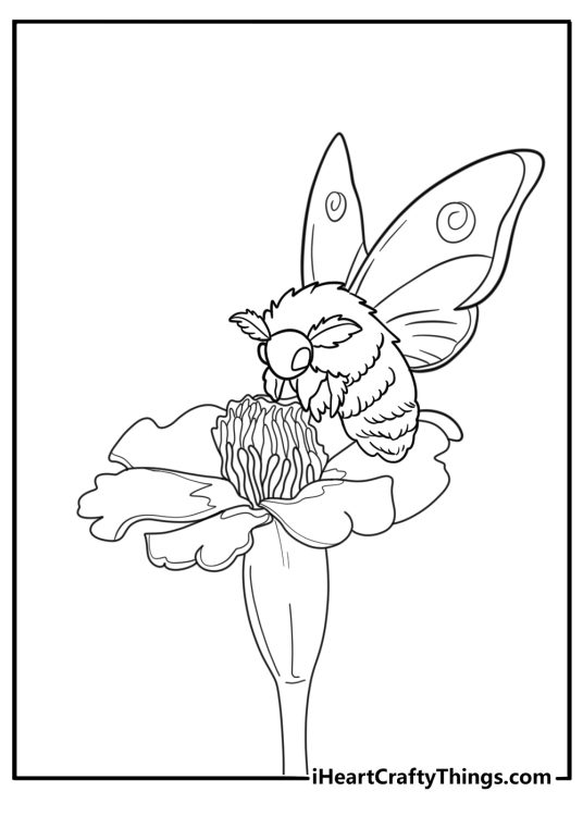 Moth landing on a flower nature themed coloring sheet