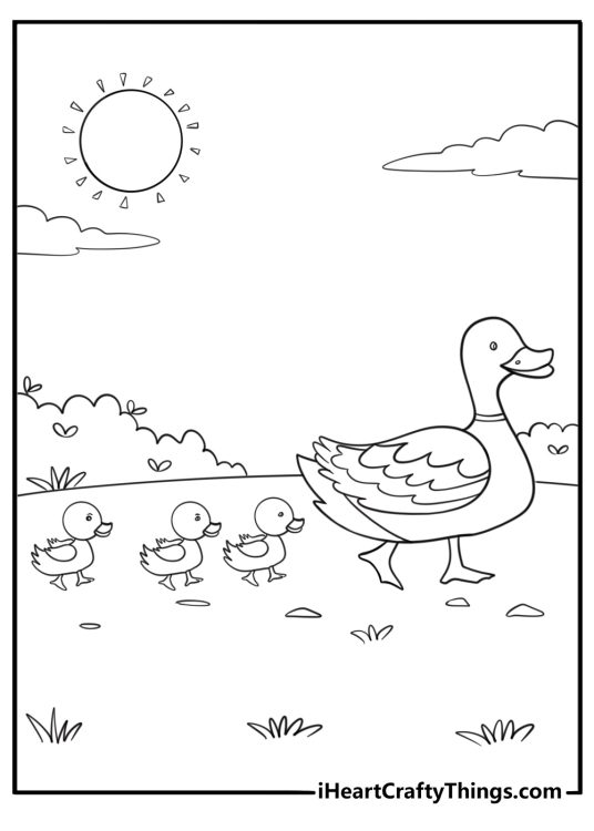 Mother goose with goslings walking behind coloring sheet for kids
