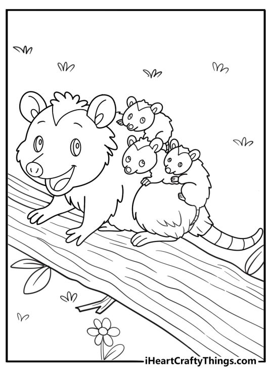 Mother opossum in a tree with three babies coloring page for kids