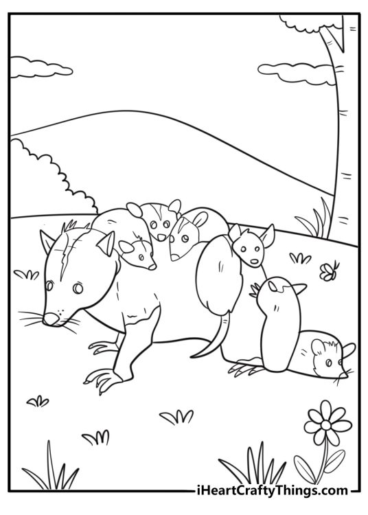 Opossum carrying babies on its back simple coloring sheet
