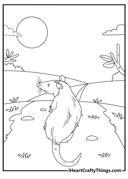 Opossum crossing a path at night moon in background coloring page