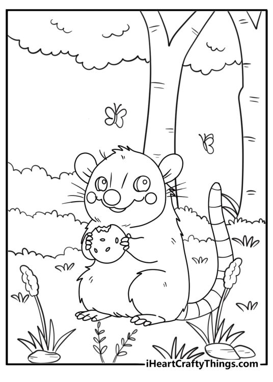 Opossum eating fruit in a forest setting coloring sheet