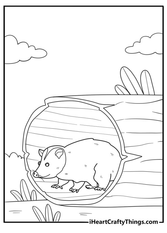 Opossum hiding inside a hollow log nature themed coloring page