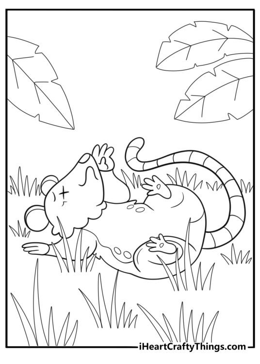 Opossum playing dead in tall grass easy coloring sheet