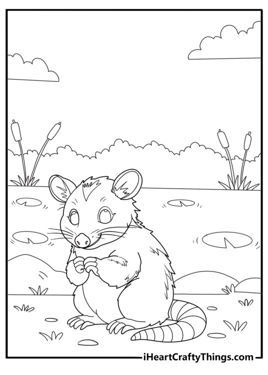 Opossum resting near a pond with lily pads coloring sheet
