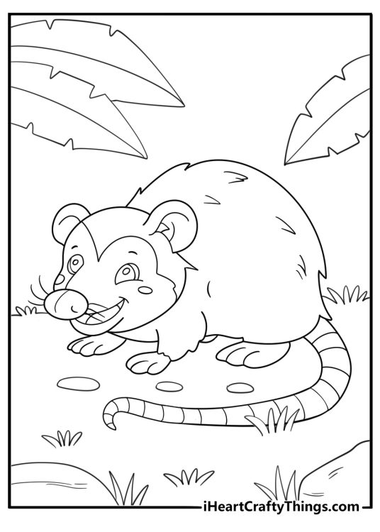 Opossum with long tail curled on the ground easy coloring page for kids