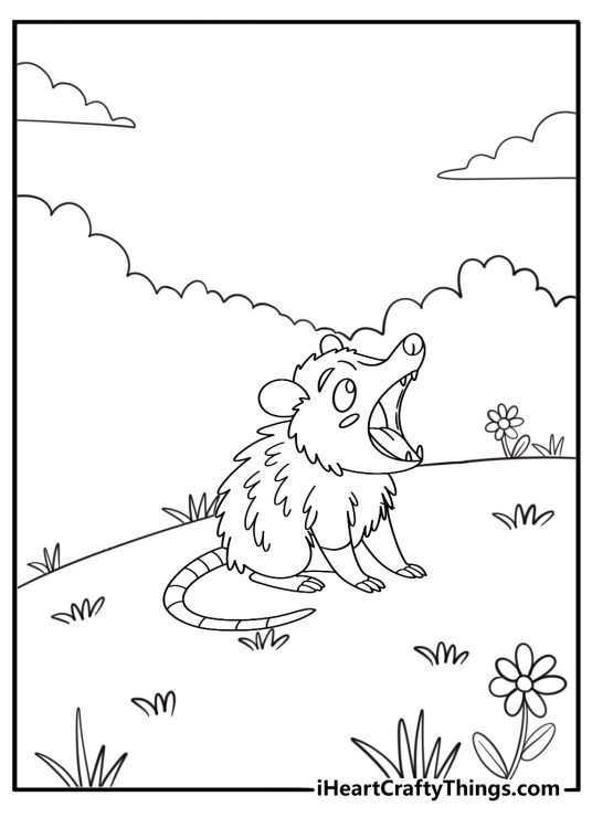 Opossum with open mouth showing teeth coloring sheet