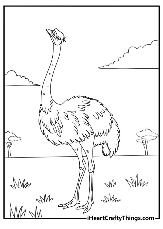 Ostrich looking up at the sky from savanna coloring sheet