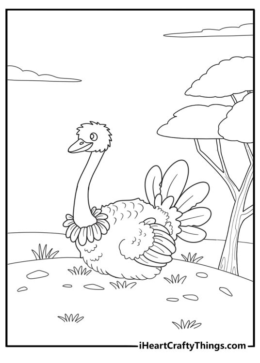 Ostrich lying down and resting fun cartoon coloring page