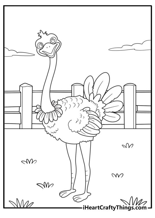 Ostrich next to wooden fence farm themed coloring sheet