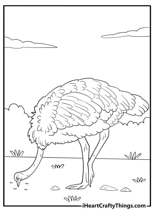Ostrich pecking food from the ground easy coloring page