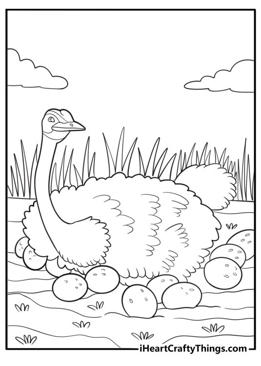 Ostrich sitting on a nest with eggs simple coloring page