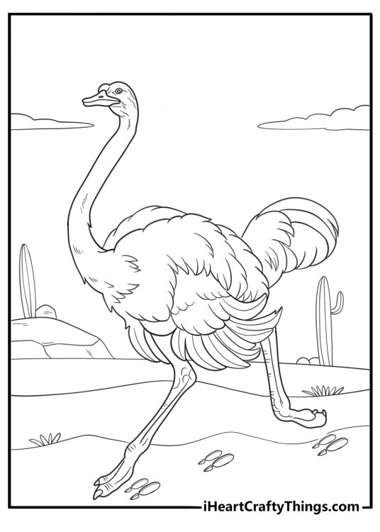 Ostrich tracks in the sand with one bird detailed coloring sheet