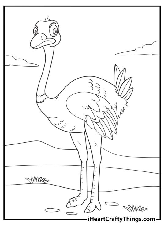 Ostrich with long neck looking around easy coloring sheet