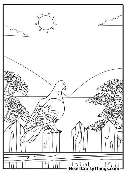 Pigeon cooing near a flower bed kawaii cartoon coloring page