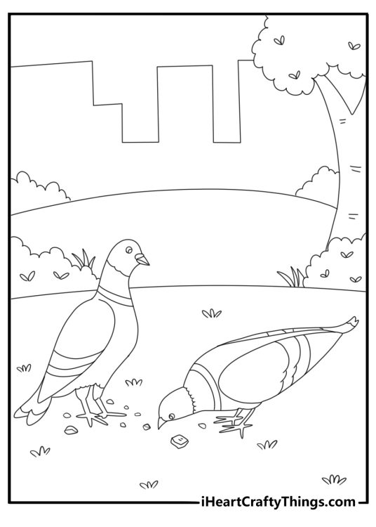 Pigeon feeding on breadcrumbs in the park coloring page for kids