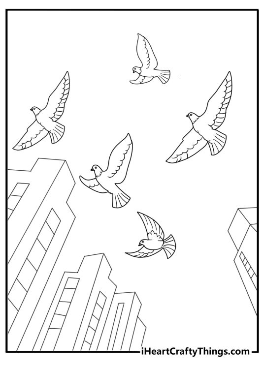 Pigeon flock flying in the sky city view coloring page