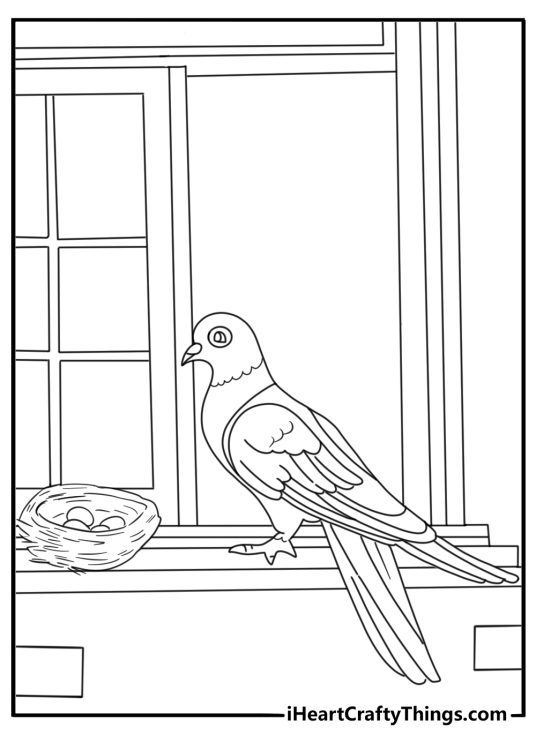 Pigeon nest with two eggs on a windowsill coloring sheet
