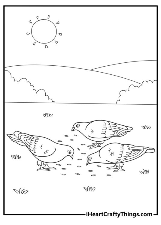 Pigeon pecking at seeds on the ground fun coloring sheet for kids
