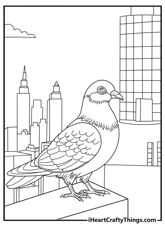 Pigeon perched on a rooftop simple line art coloring page