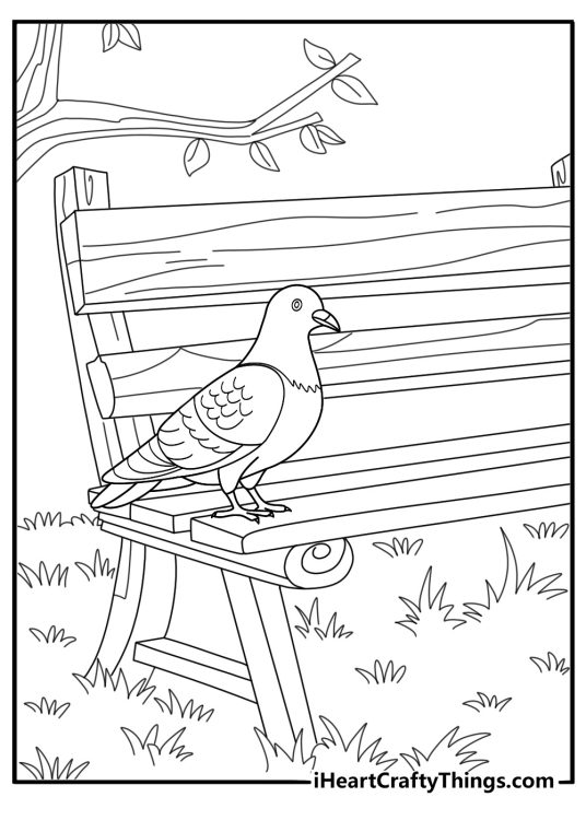 Pigeon resting under a tree in the park easy coloring sheet