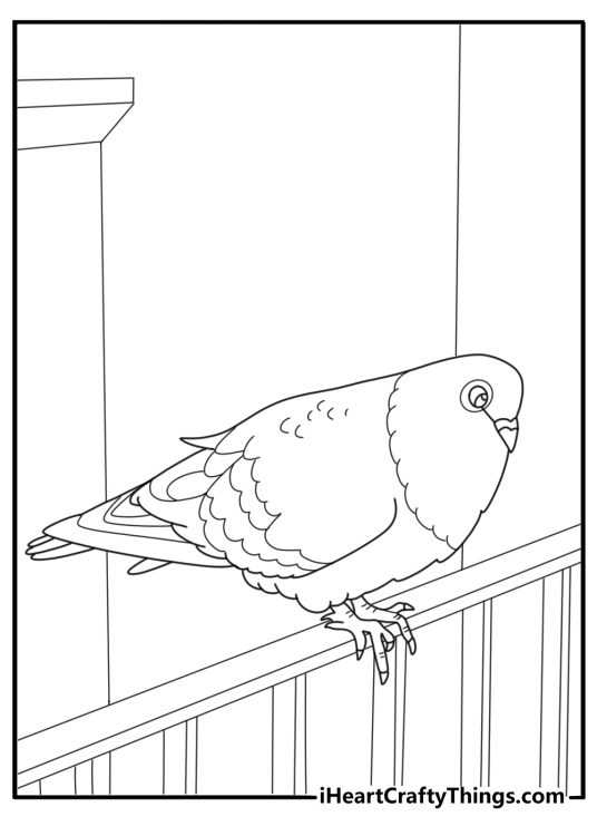 Pigeon sitting on a balcony rail cartoon style coloring page