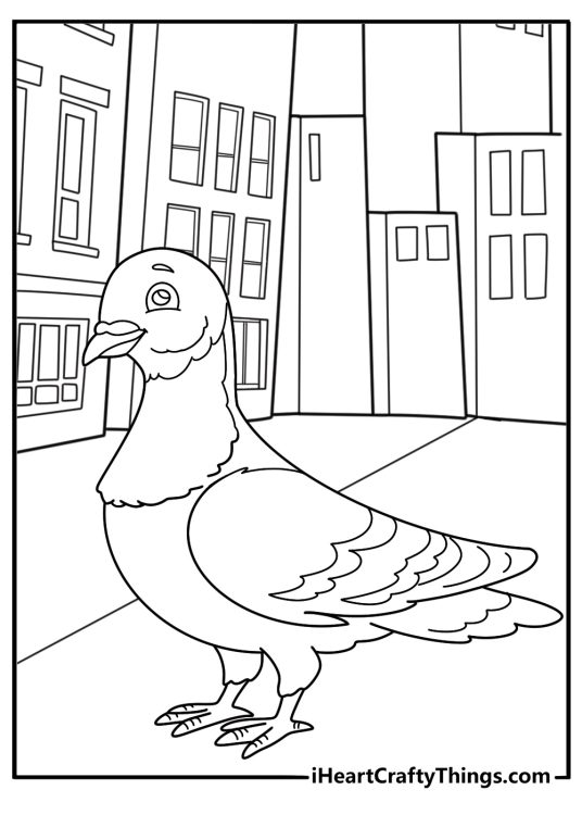 Pigeon standing alone on an empty street easy coloring sheet