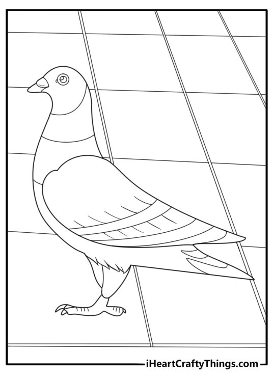 Pigeon walking on a city sidewalk easy coloring page for kids