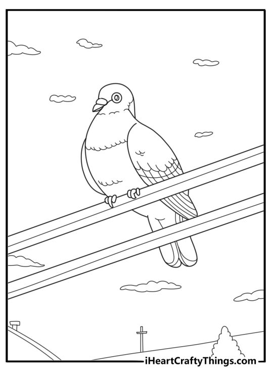 Pigeon watching from a power line cartoon style coloring page