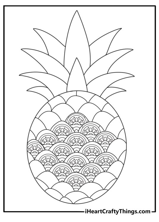 pineapple pattern mandala style detailed coloring page for adults
