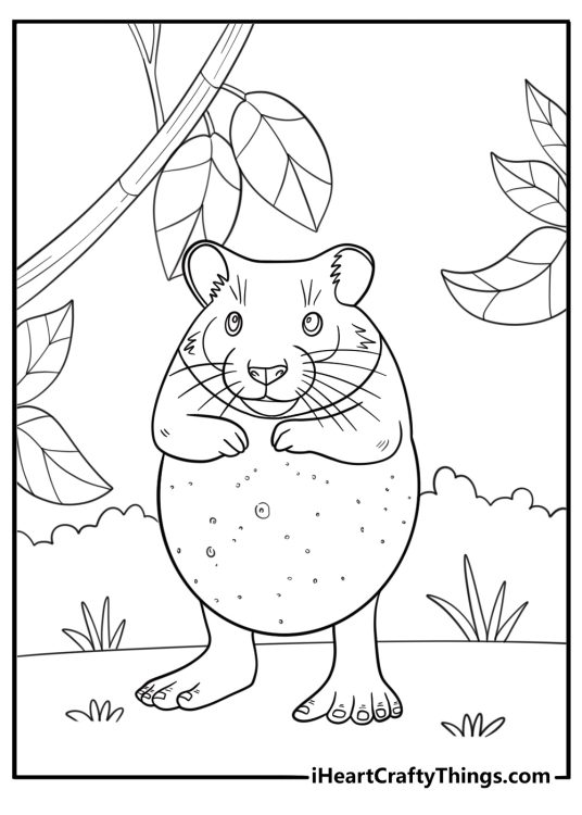 Pipi potato coloring page