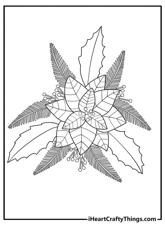 Poinsettia and holly arrangement for kids coloring page