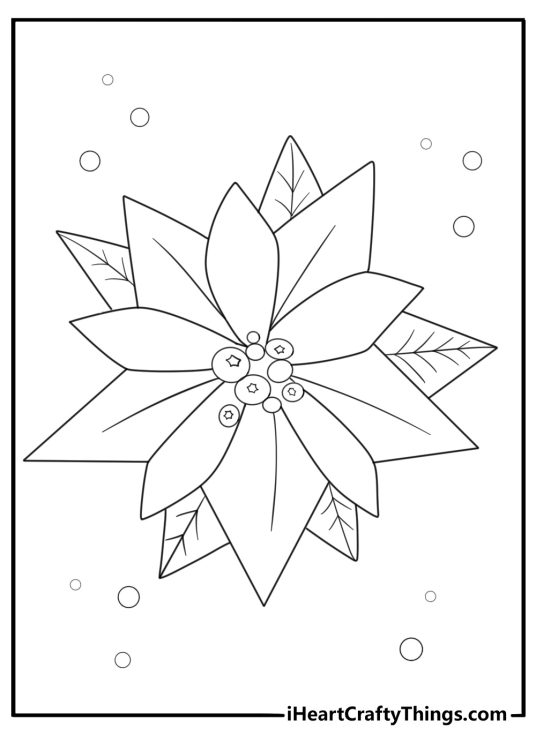 Poinsettia flower with large leaves easy coloring page for kids